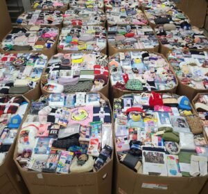 Target Accessories Liquidation Pallet — 1,500+ Pieces to Profit